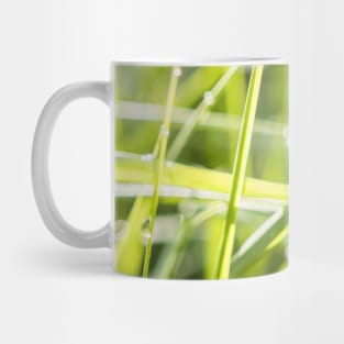 SCENERY 71 - Green Grass Field Outdoor Land Meadow Mug